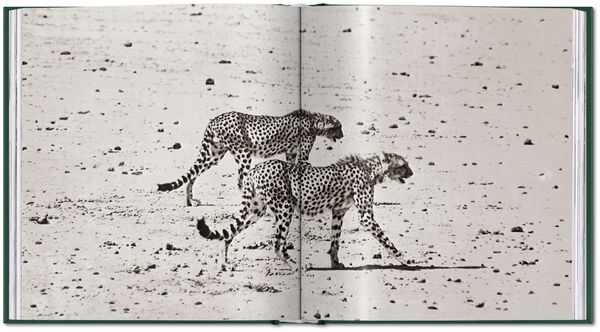 Produktbild: Peter Beard