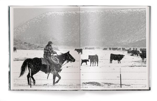 Produktbild: A Ranch Year