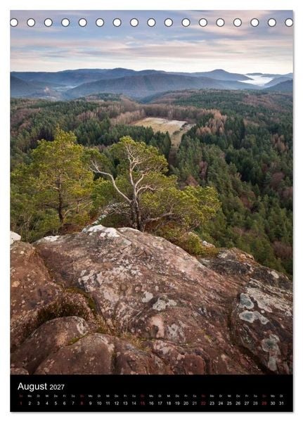 Produktbild: NATURWUNDER PF&Auml;LZERWALD (Tischkalender 2027 DIN A5 hoch), CALVENDO Monatskalender