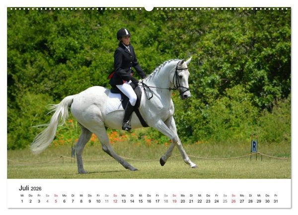 Produktbild: Eventing - Der ultimative Reitsport (Wandkalender 2026 DIN A2 quer), CALVENDO Monatskalender