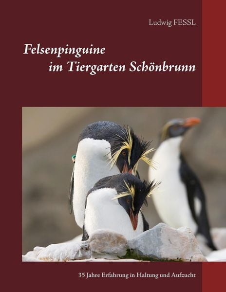Produktbild: Felsenpinguine im Tiergarten Sch&ouml;nbrunn