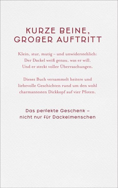 Produktbild: Der Dackel. Gro&szlig;es Herz und kurze Beine.