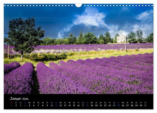 Produktbild: Provence - Lavendelbl&uuml;te (Wandkalender 2026 DIN A3 quer), CALVENDO Monatskalender
