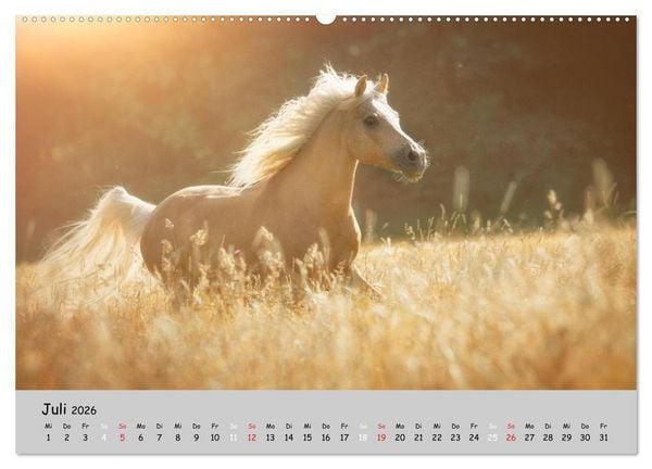 Produktbild: Pferde - Anmut und St&auml;rke gepaart mit Magie (Wandkalender 2026 DIN A2 quer), CALVENDO Monatskalender