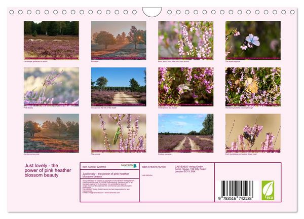 Produktbild: Just lovely - the power of pink heather blossom beauty (Wall Calendar 2026 DIN A4 landscape), CALVENDO 12 Month Wall Calendar