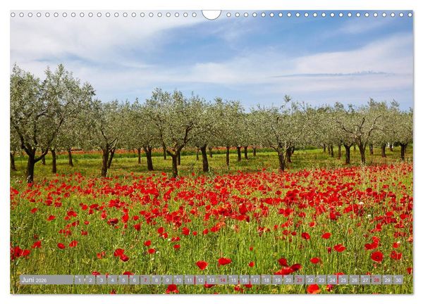 Produktbild: ISTRIEN (Wandkalender 2026 DIN A3 quer), CALVENDO Monatskalender