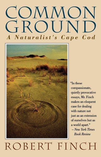 Produktbild: Common Ground