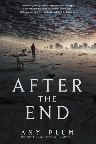 Produktbild: After the End