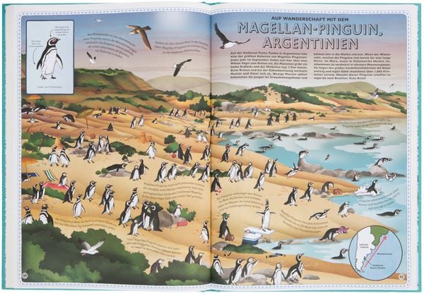 Produktbild: Der Atlas der Ozeane