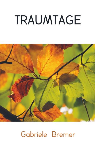 Traumtage, Taschenbuch von Gabriele Bremer, Bookmundo Heymann, 9789463675093