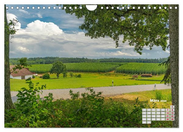 Produktbild: Hopfenland Holledau (Wandkalender 2026 DIN A4 quer), CALVENDO Monatskalender