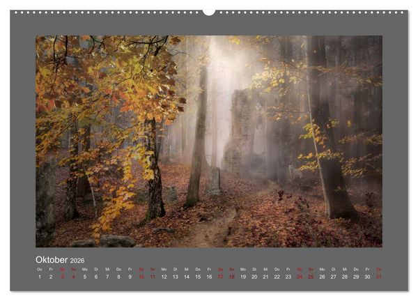 Produktbild: Waldgeheimnisse (Wandkalender 2026 DIN A2 quer), CALVENDO Monatskalender