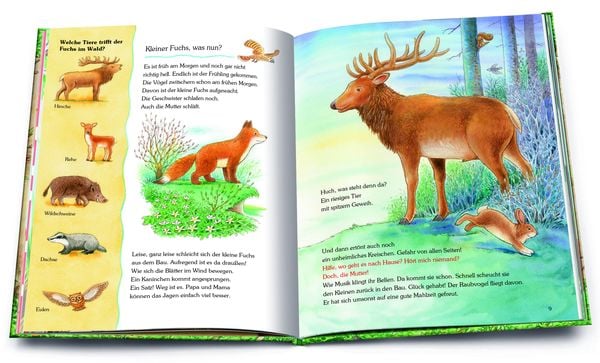 Produktbild: Unser Wald und seine Tiere. Die sch&ouml;nsten Geschichten mit vielen Sachinformationen