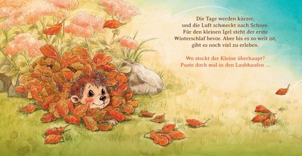 Produktbild: Schlaf sch&ouml;n, kleiner Igel