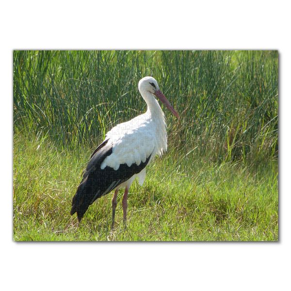 Produktbild: Lais Puzzle Storch 1000 Teile