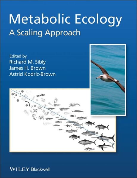 Produktbild: Metabolic Ecology