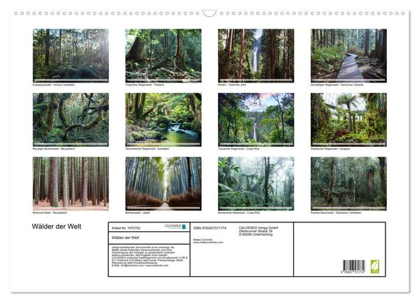 Produktbild: W&auml;lder der Welt (Wandkalender 2026 DIN A2 quer), CALVENDO Monatskalender