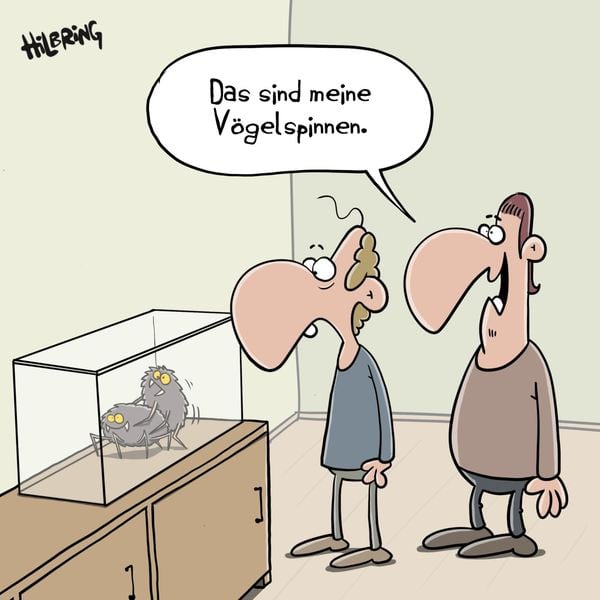 Produktbild: SCH&Ouml;N DOOF! Ich such was Ernstes