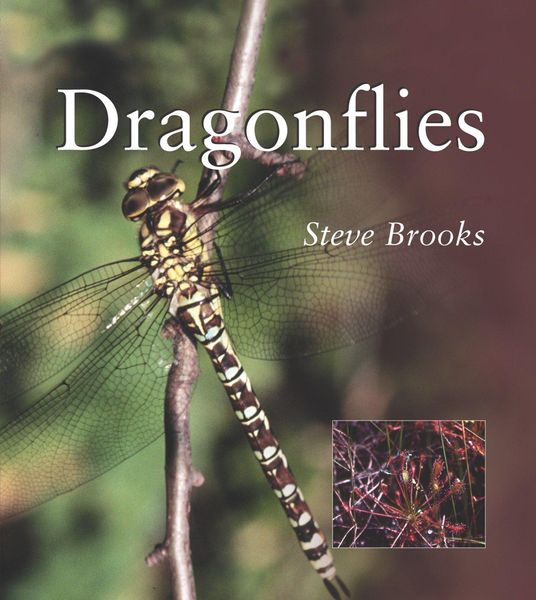 Produktbild: Dragonflies