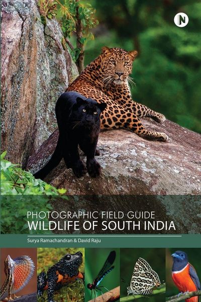 Produktbild: Photographic Field Guide - Wildlife of South India