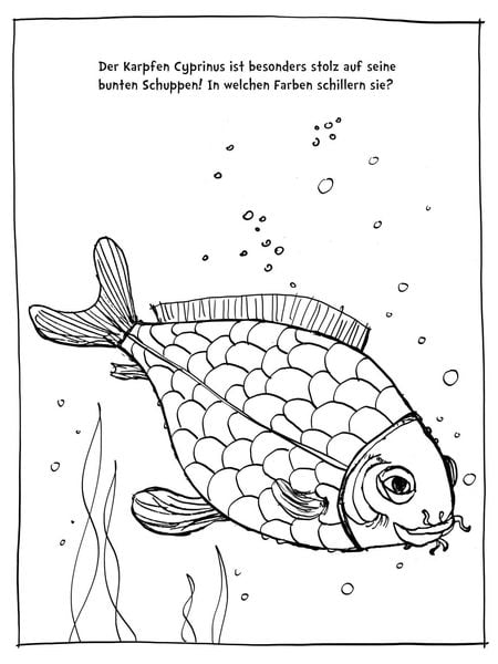 'Der kleine Wassermann (Ausmalen, weitermalen, selber malen)' von