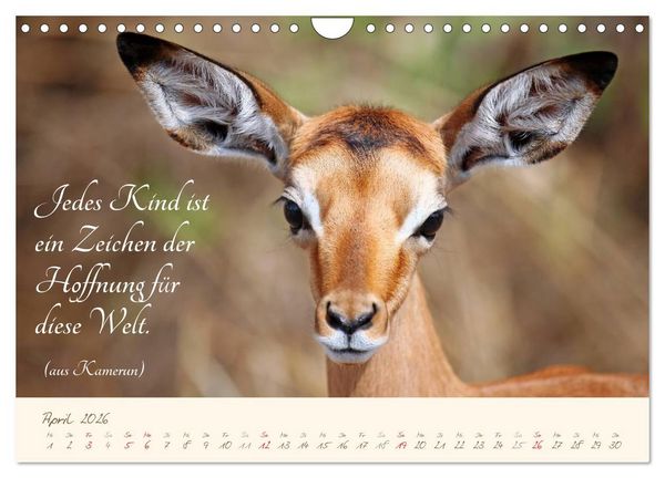 Produktbild: AFRIKA mit einem Hauch von Poesie (Wandkalender 2026 DIN A4 quer), CALVENDO Monatskalender