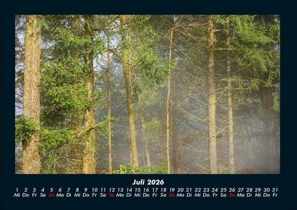 Produktbild: Waldzauber 2026 Fotokalender DIN A4