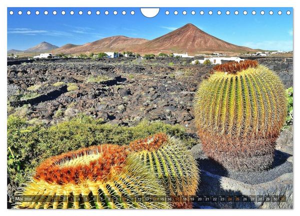 Produktbild: Lanzarote. Wunderwelt der Feuerberge (Wandkalender 2026 DIN A4 quer), CALVENDO Monatskalender