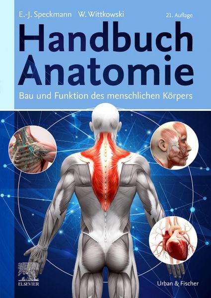 Produktbild: Handbuch Anatomie