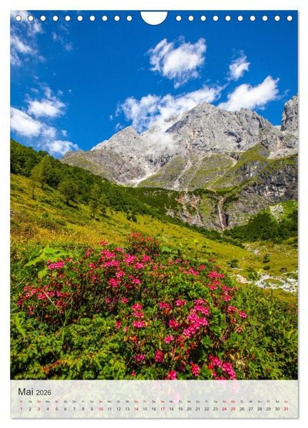 Produktbild: M&uuml;hlbach am Hochk&ouml;nig (Wandkalender 2026 DIN A4 hoch), CALVENDO Monatskalender