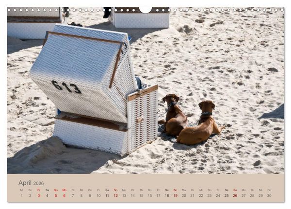 Produktbild: Sylt-Momente (Wandkalender 2026 DIN A3 quer), CALVENDO Monatskalender
