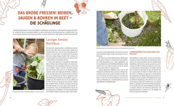 Produktbild: Wer knabbert da an meinem Gem&uuml;se?