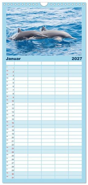 Produktbild: Familienplaner 2027 - Delfine: Elegante Wellenreiter mit 5 Spalten (Wandkalender, 21 x 45 cm) CALVENDO