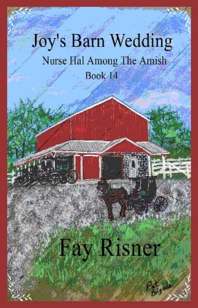 Produktbild: Joy's Barn Wedding (Nurse Hal Among The Amish, #14)
