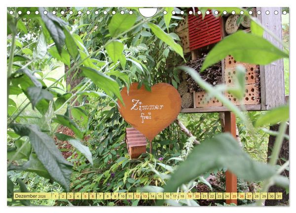 Produktbild: Gartenzauber (Wandkalender 2026 DIN A4 quer), CALVENDO Monatskalender