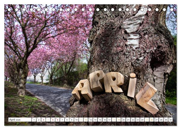 Produktbild: Holz, ein fantastischer Rohstoff. (Tischkalender 2026 DIN A5 quer), CALVENDO Monatskalender