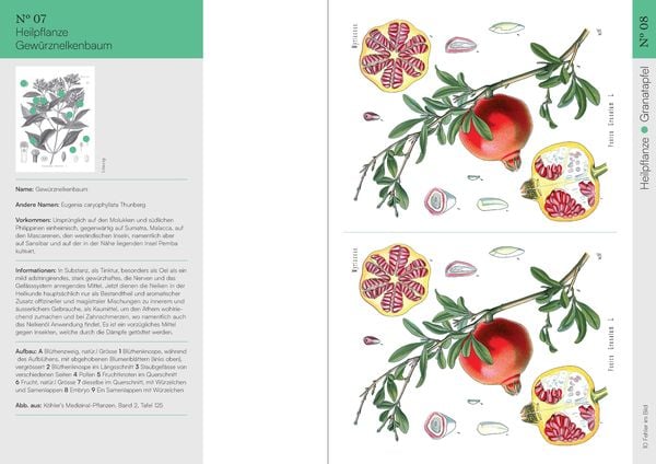 Produktbild: Finde den Fehler &ndash; 50 Botanische Illustrationen