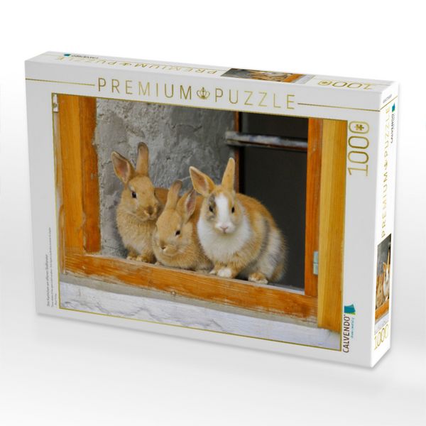 Produktbild: CALVENDO Puzzle Drei Kaninchen am offenen Stallfenster | 1000 Teile Lege-Gr&ouml;&szlig;e 64x48cm Foto-Puzzle f&uuml;r gl&uuml;ckliche Stunden