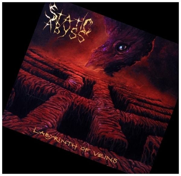 Produktbild: Labyrinth Of Veins