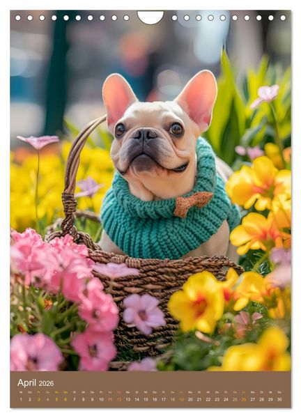 Produktbild: Frenchie Couture - Franz&ouml;sische Bulldoggen in Strick-Chic (Wandkalender 2026 DIN A4 hoch), CALVENDO Monatskalender