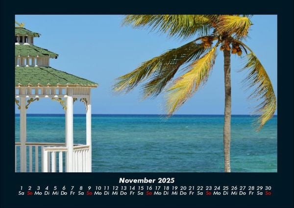 Produktbild: Palmen 2025 Fotokalender DIN A4