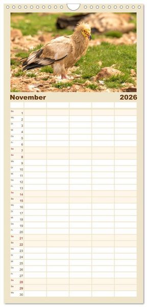 Produktbild: Familienplaner 2026 - Die Geier sind los mit 5 Spalten (Wandkalender, 21 x 45 cm) CALVENDO