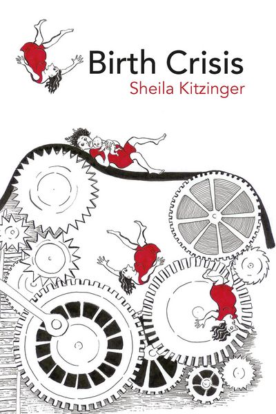 Produktbild: Birth Crisis