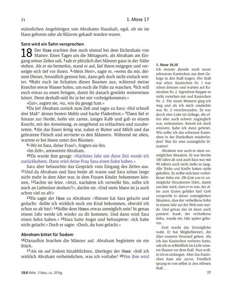 Produktbild: Das Buch der Versprechen