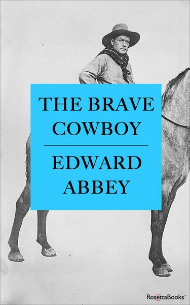 Produktbild: The Brave Cowboy