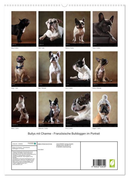 Produktbild: Bullys mit Charme - Franz&ouml;sische Bulldoggen im Portrait (hochwertiger Premium Wandkalender 2026 DIN A2 hoch), Kunstdruck in Hochglanz