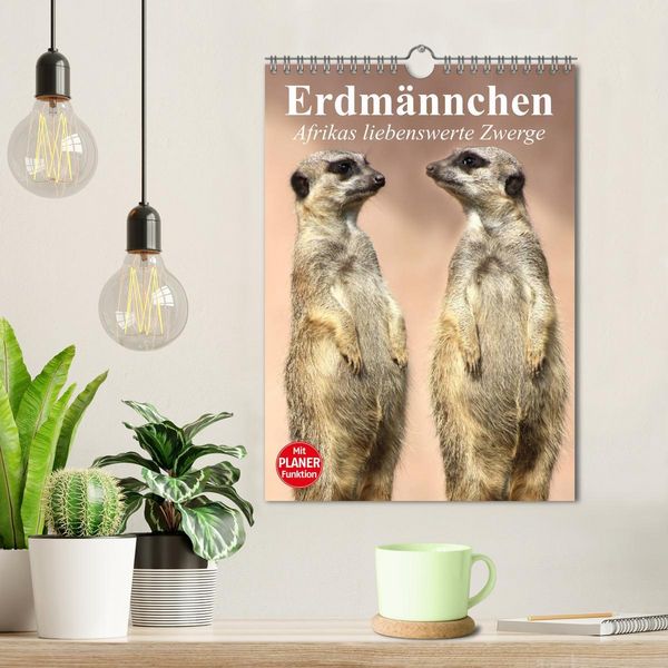 Produktbild: Erdm&auml;nnchen - Afrikas liebenswerte Zwerge (Wandkalender 2026 DIN A4 hoch), CALVENDO Monatskalender