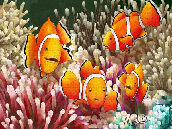 Produktbild: CALVENDO Puzzle Bunte Clownfisch Entdecker | 2000 Teile Lege-Gr&ouml;&szlig;e 90x67cm Foto-Puzzle f&uuml;r gl&uuml;ckliche Stunden