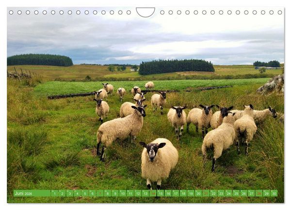 Produktbild: Schottland - Impressionen von magischen Orten (Wandkalender 2026 DIN A4 quer), CALVENDO Monatskalender