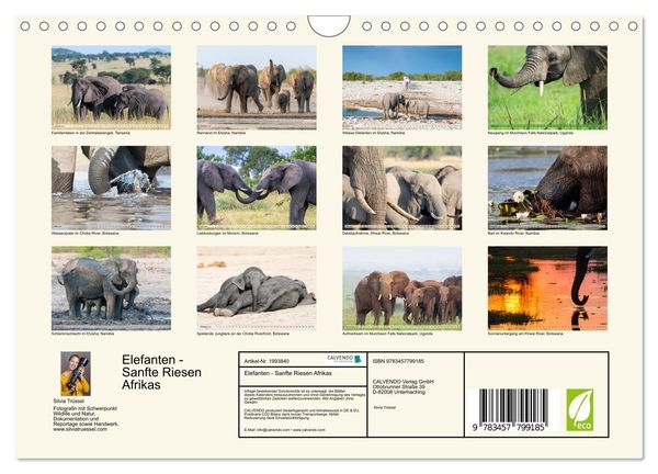 Produktbild: Elefanten - Sanfte Riesen Afrikas (Wandkalender 2026 DIN A4 quer), CALVENDO Monatskalender